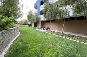 3590 Sacramento Drive Suite 210