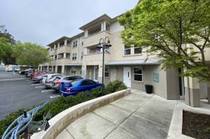 825 El Capitan, Suite 13 NEW Hardwood Floors