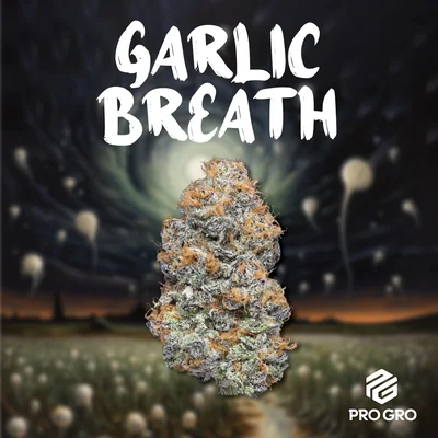 ProGro - Garlic Breath 3.5g