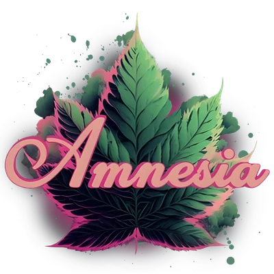 Amnesia - Blueberry Pancakes Bubble Hash Infused Pre-Roll 1.3g