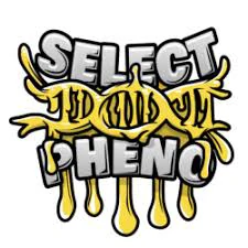Select Pheno x Matty B - Oishii Live Rosin 1g