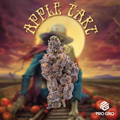 ProGro - Apple Tart 3.5g