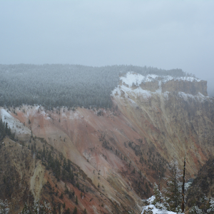 Yellow cliffs, green trees, snowy sky