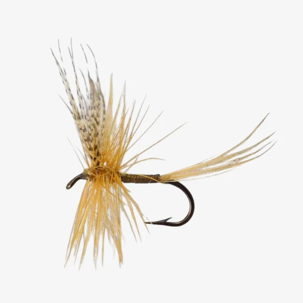 Catskill Dry
