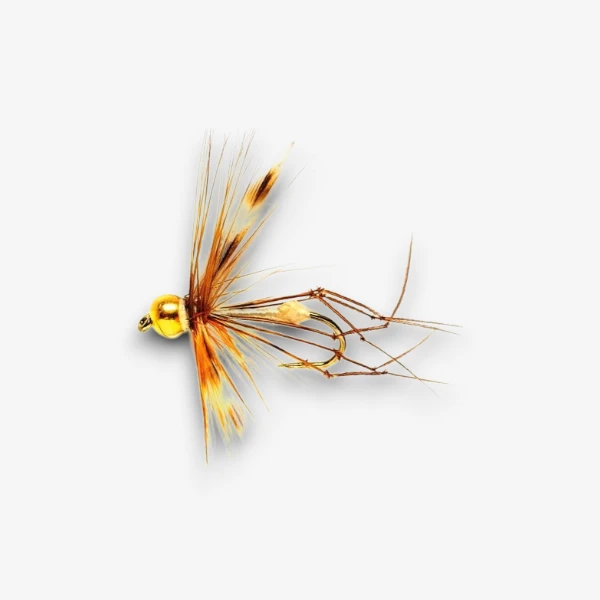 Daddy Gold Nugget
