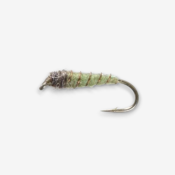 Electric Caddis