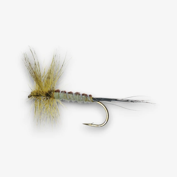 Evergreen Eastern Green Drake