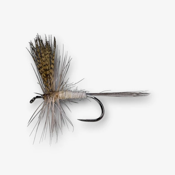 Hendrickson Catskill Dry