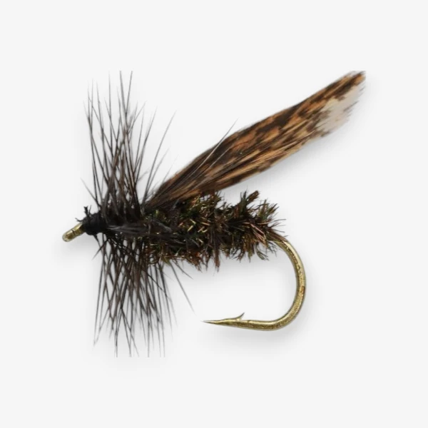 Alder fly Dry