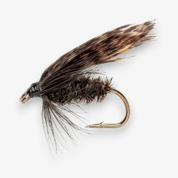 Alderfly Wet