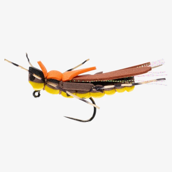 Big Sky Hopper