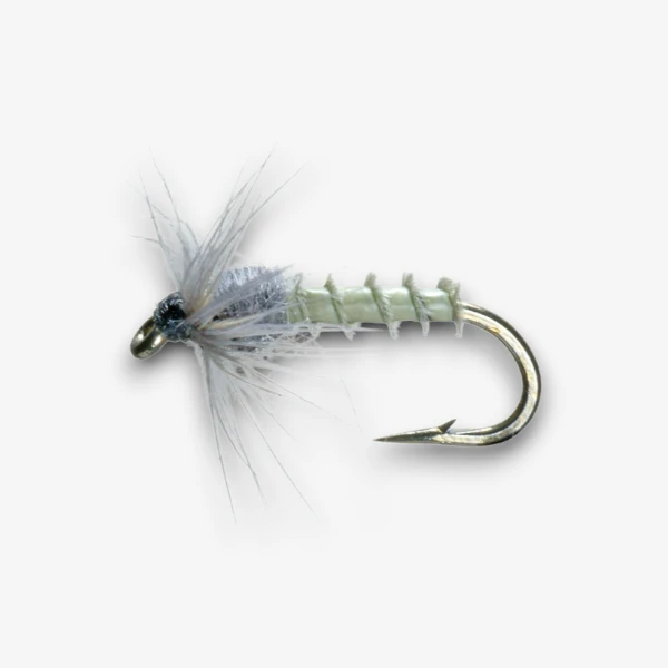 Biot Mayfly