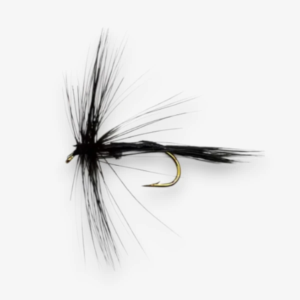 Black Mosquito