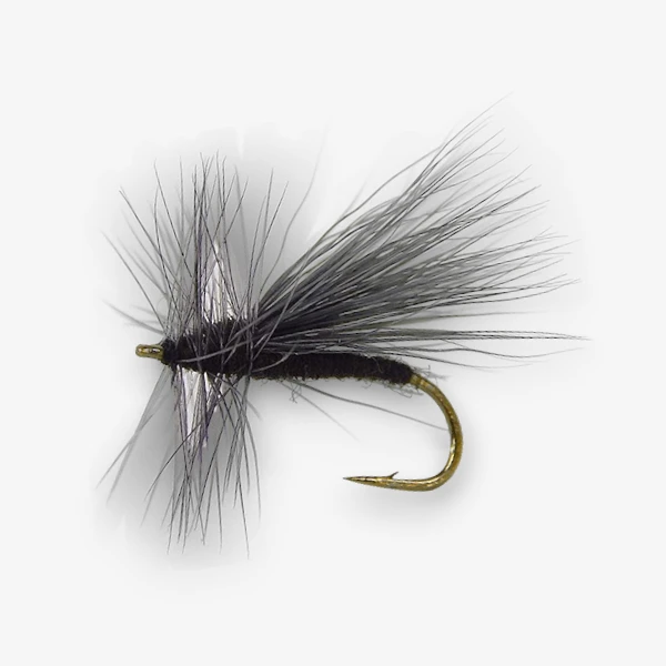 Black Winter Stonefly