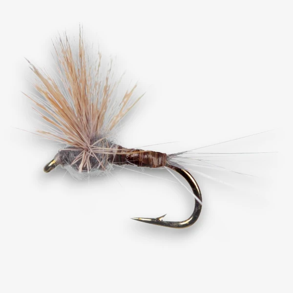 Blue Quill Comparadun image