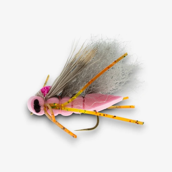 Boy Wonder Hopper image