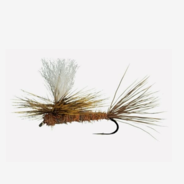 Brindle Chute Dry