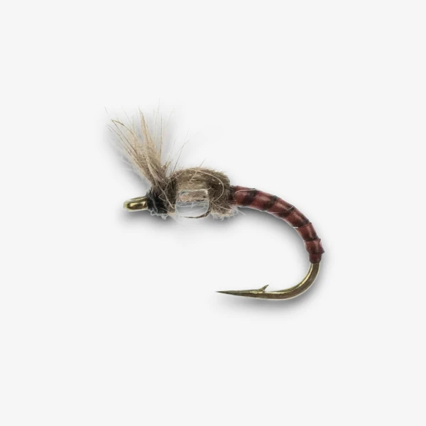 Bubble Gut Midge