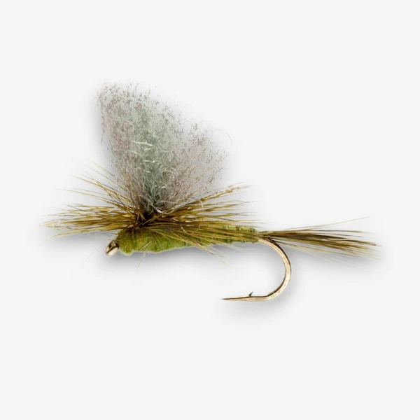 Burkus' Green Drake Dun