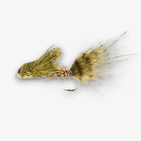 Cactus Wooly Sculpin