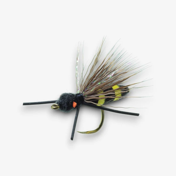 Caleb's Bee