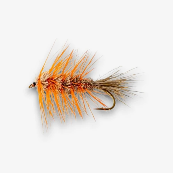 Carter Bug