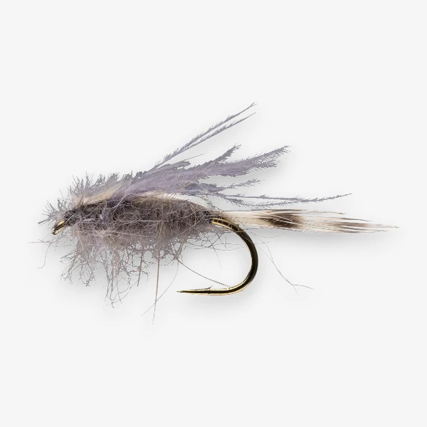 CDC Transitions Midge