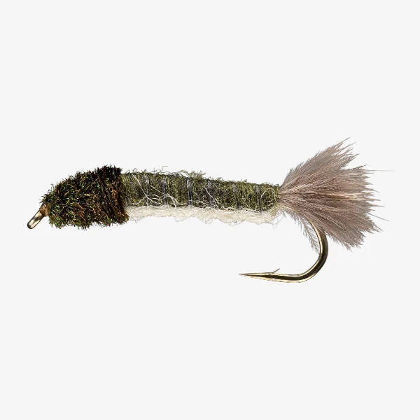 Crane Fly Larva