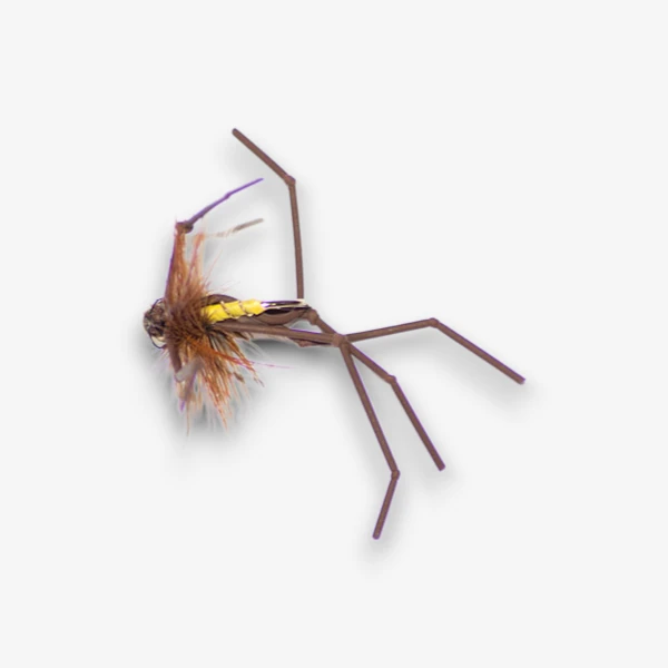 Daddy Long Rubber Legs