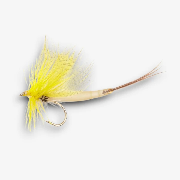 Detached Yellow Drake