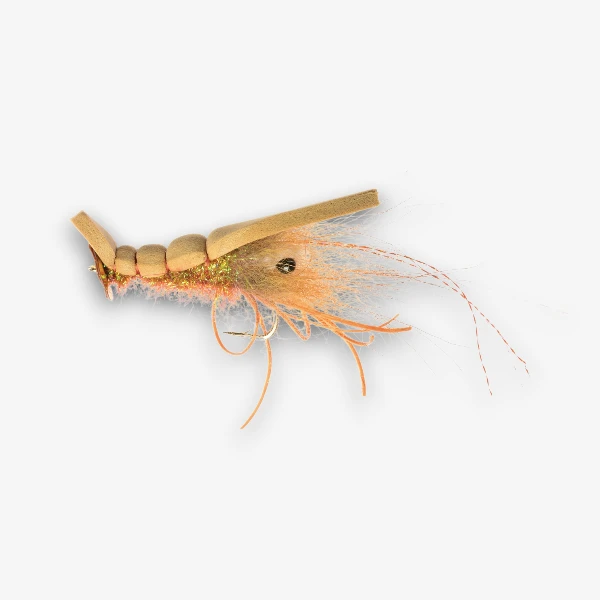 Disco Shrimp