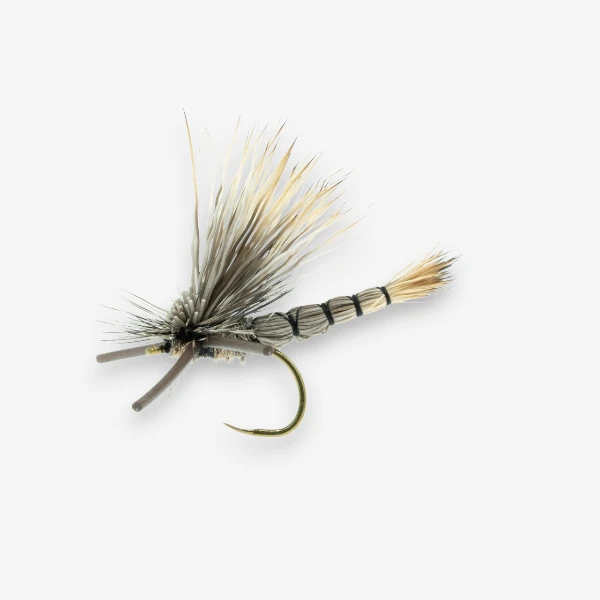 DJL Green Drake