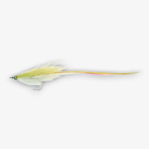 Flatwing Sand Eel