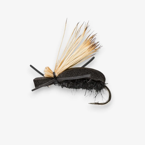 Flying Foam Beetle