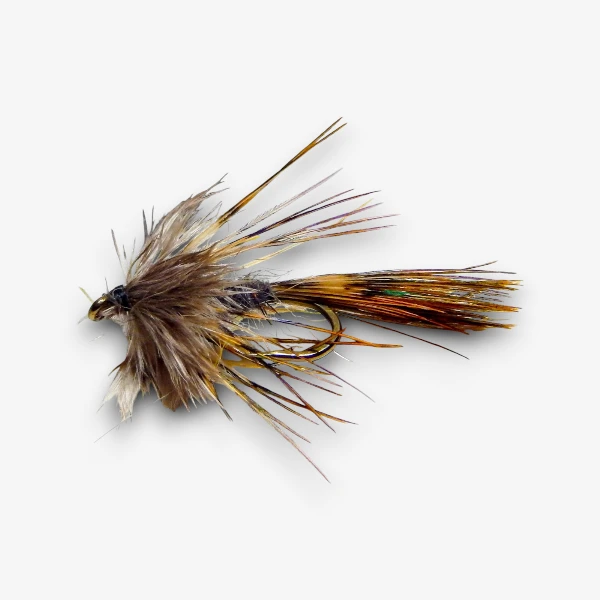 Gartside's Sparrow image