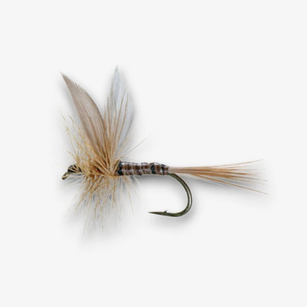 Ginger Quill Dun image