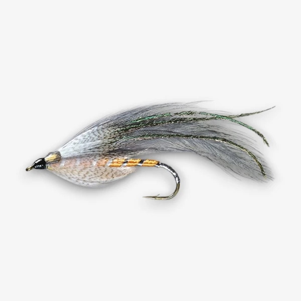 The Grey Ghost