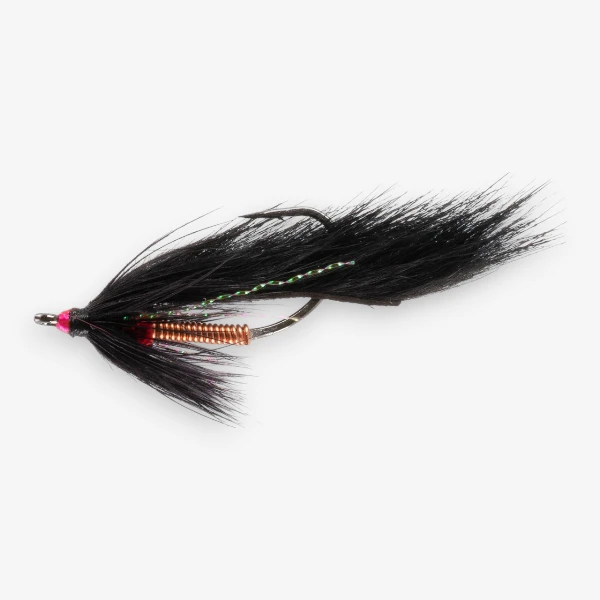 Lo-Rent Leech