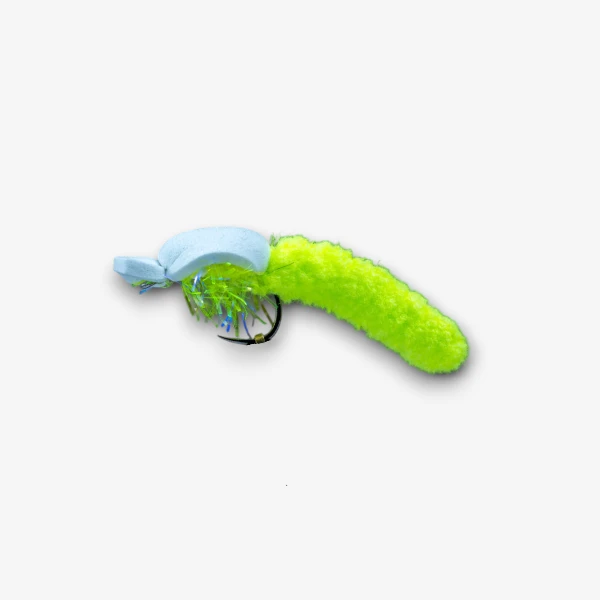 Mopcorn Beetle