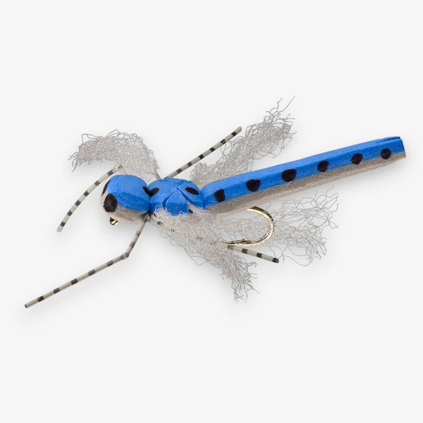 Morrish Dragon