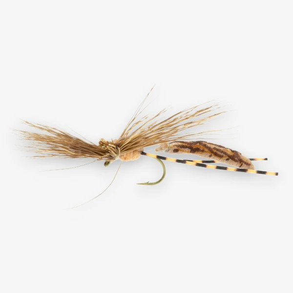 Mr. Jones Cranefly