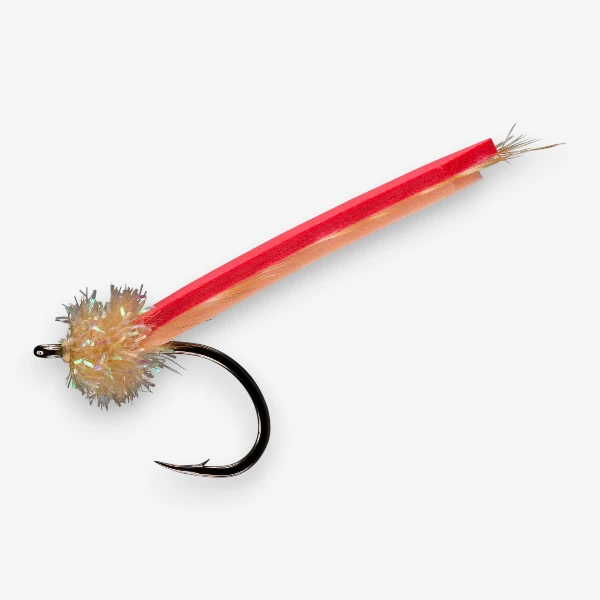 Palolo Worm