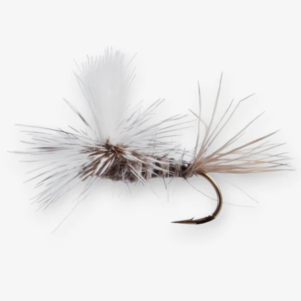Parachute Hare's Ear