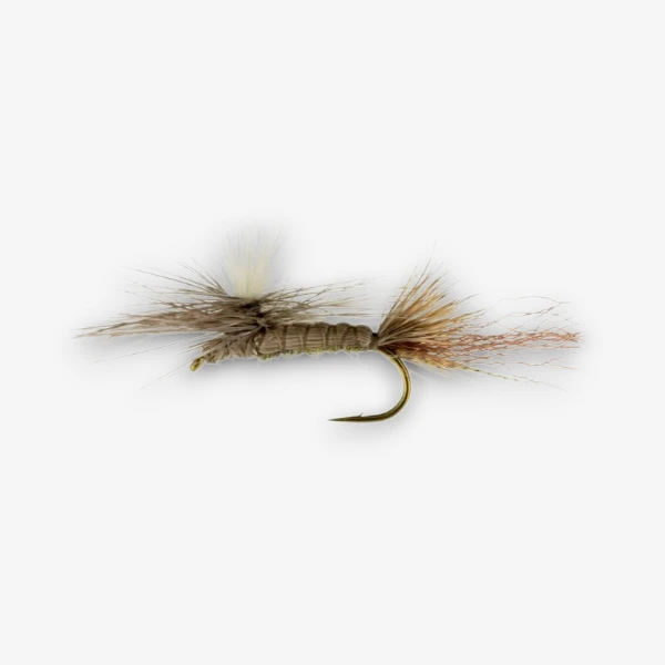 Parachute ISO