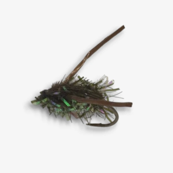 Peacock Water Boatman