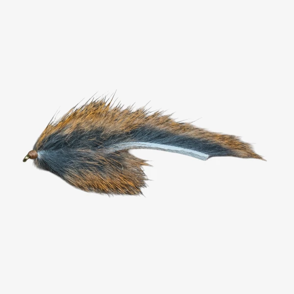 Pine Squirrel Leech