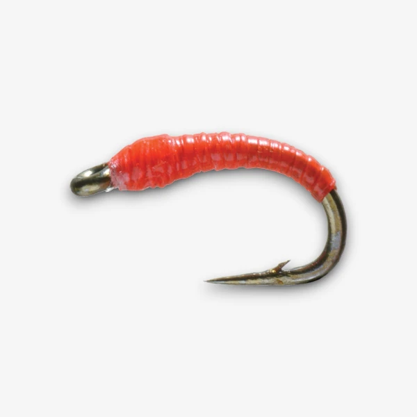 Pure Midge Larva image