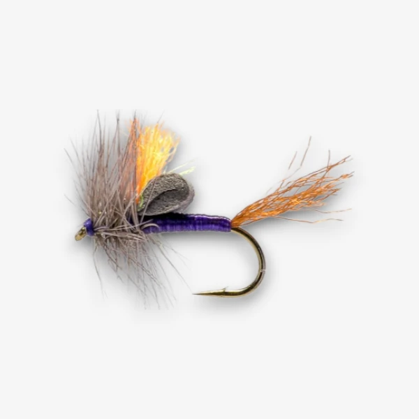 Purple Phase Loop Wing