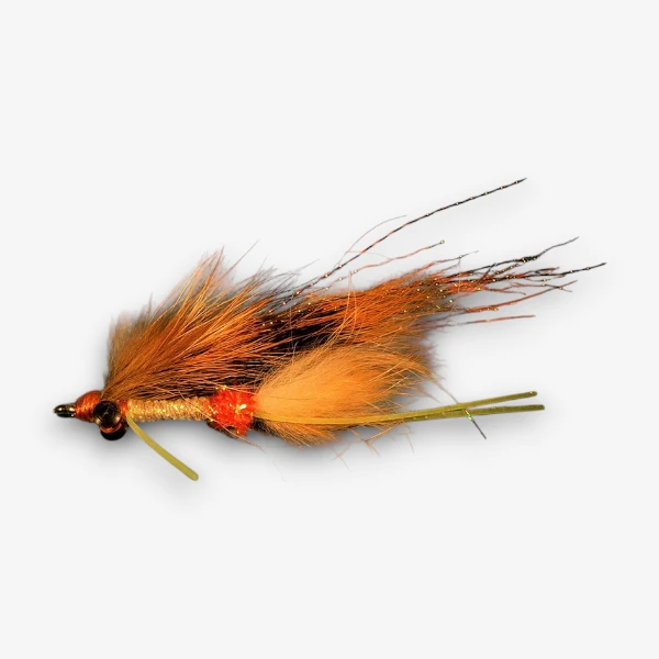 Hidalgo's Red Med