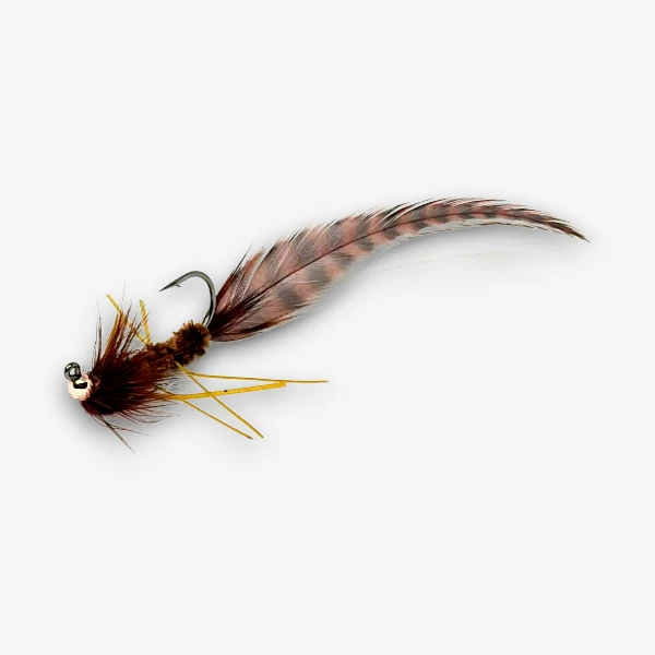 San Marcos Salamander